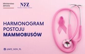 MAMMOBUS_GRAFIKA
