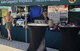 Stoisko Koła Gospodyń Wiejskich "Niebrowianki"