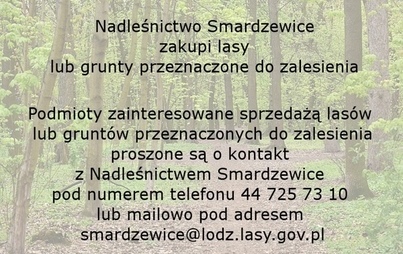Zdjęcie do Nadleśnictwo Smardzewice zakupi lasy lub grunty przeznaczone do zalesienia